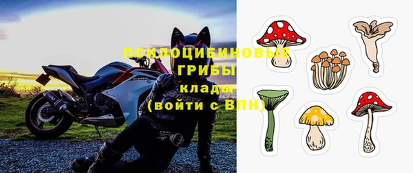 прущие грибы Баксан