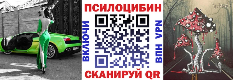 сколько стоит  Заозёрск  Галлюциногенные грибы Psilocybe 